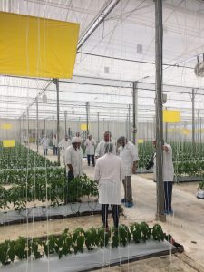 agritechmurcia Panamá