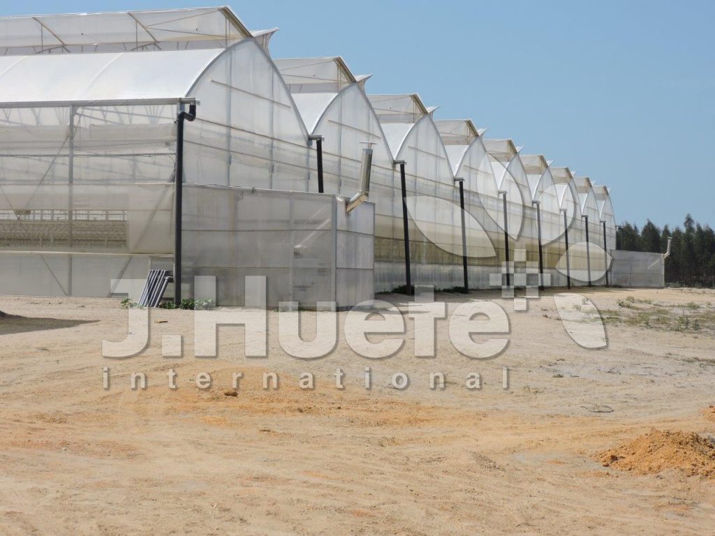 invernadero hidropónico Portugal j.huete
