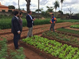 tecnología de irrigación Paraguay