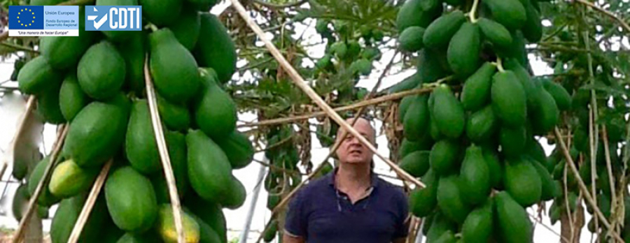 Evergreen, un proyecto en el que participa Novedades Agrícolas