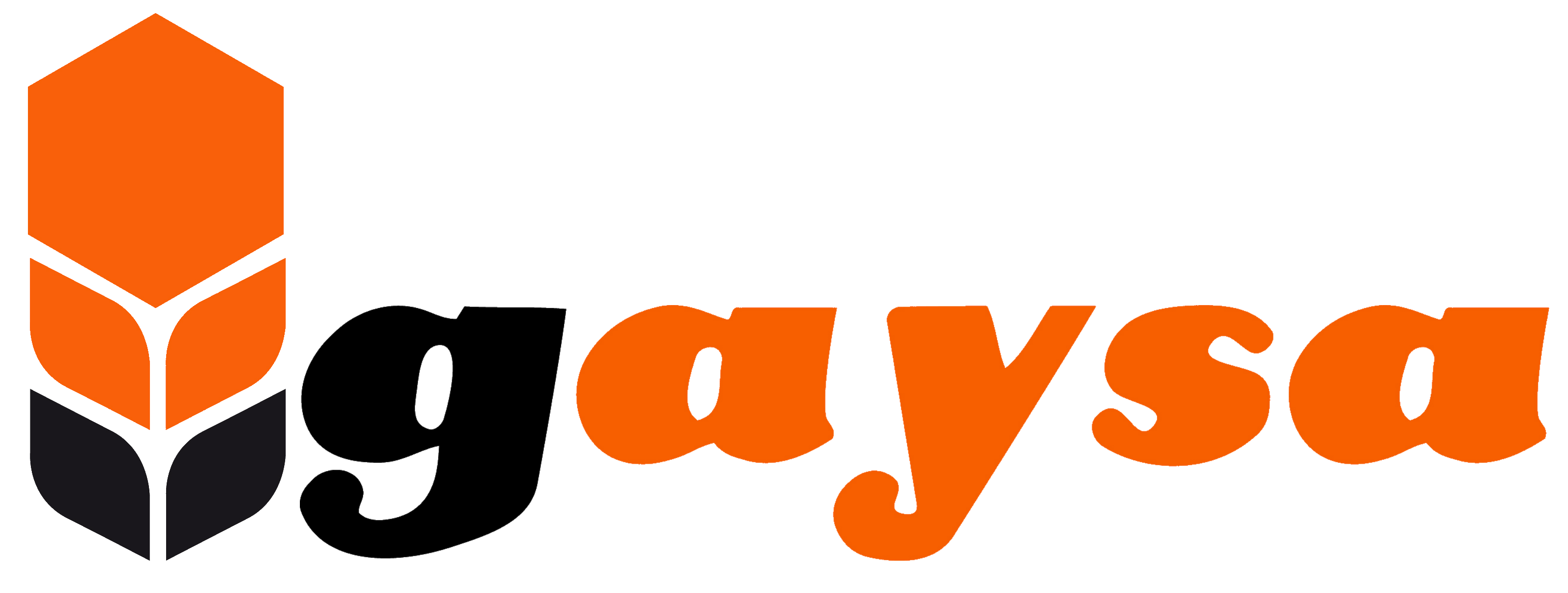 Gaysa